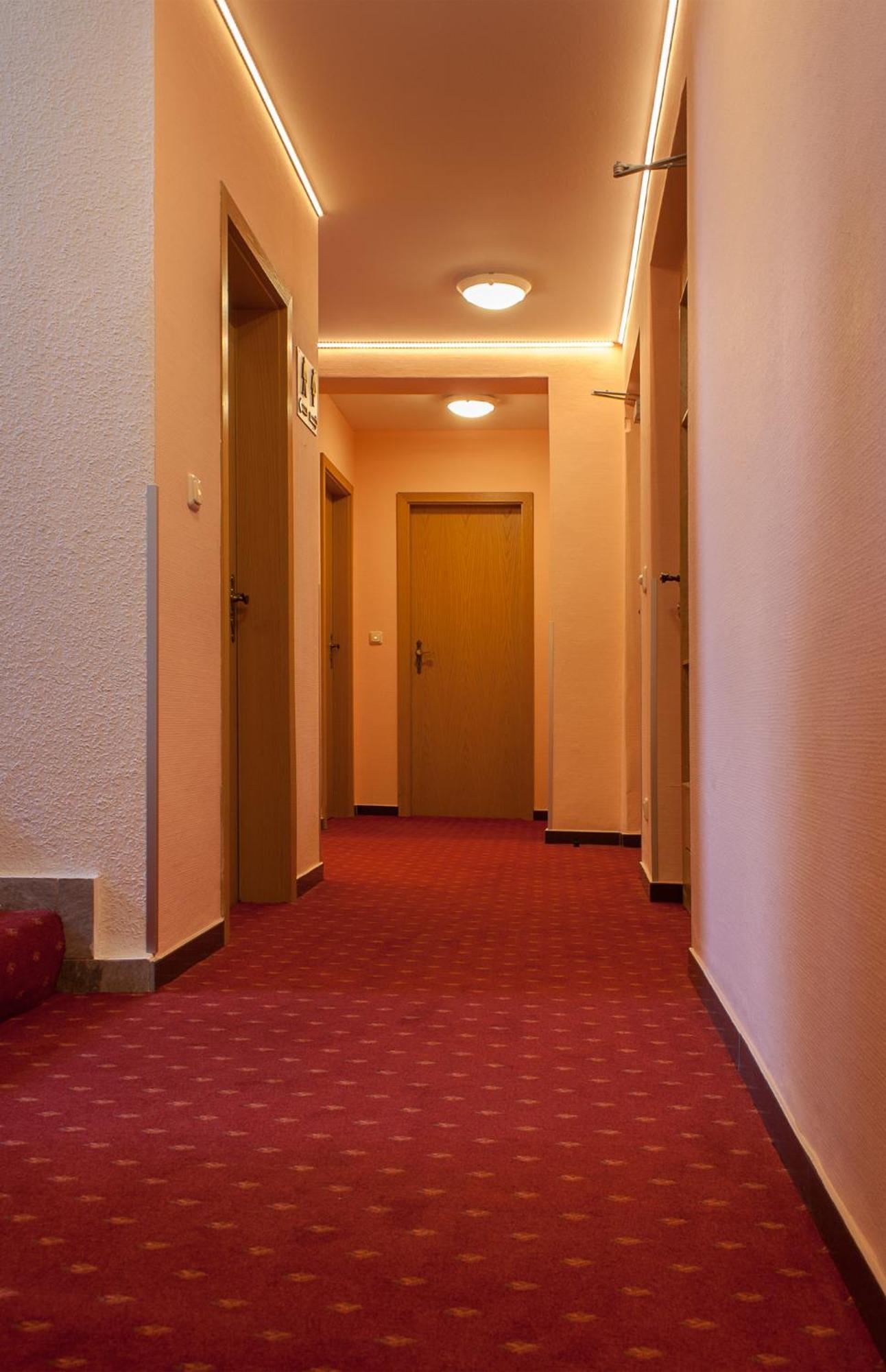 Landhotel Alt-Jocketa Pöhl エクステリア 写真