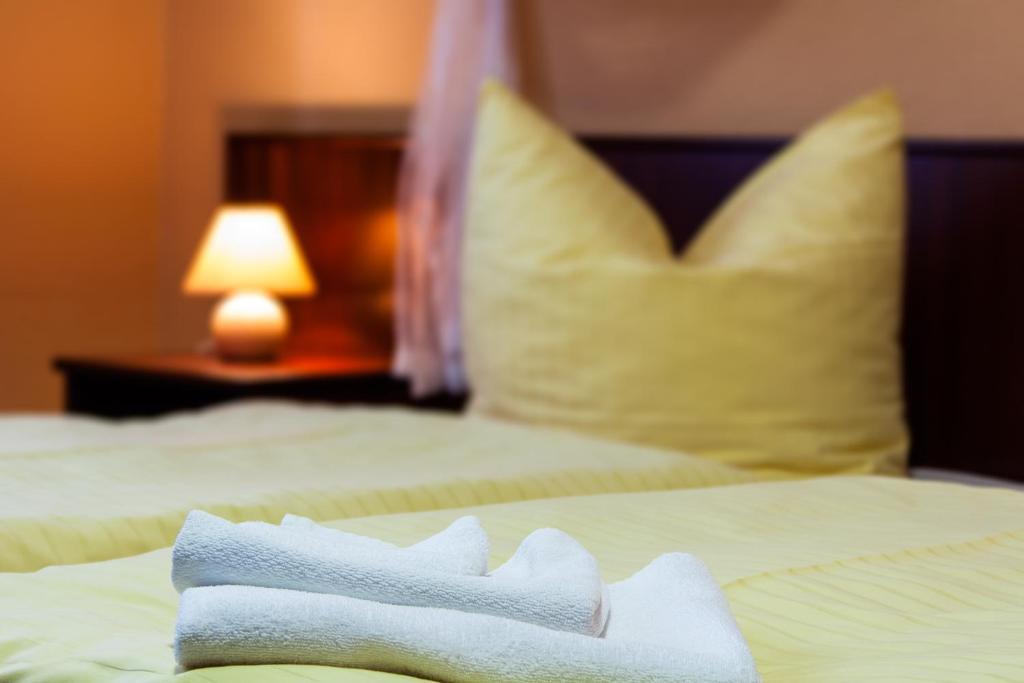 Landhotel Alt-Jocketa Pöhl 部屋 写真